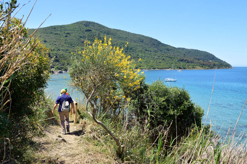 Trekking vista mare: alla scoperta del sentiero Trentova-Tresino